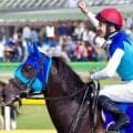半姉はヴィクトリアM覇者のアドマイヤリード ホウオウビリーヴが新馬勝ちなるか