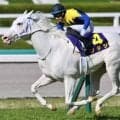 半姉はソダシ＆ママコチャ 白毛のスノーウィスパーがデビュー勝ちなるか