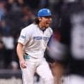 日本ハム　ソフトバンク戦初勝利、今季９戦目で　今季最多貯金８　先発・伊藤は６回２失点で８勝目、１０奪三振