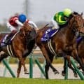 【QE2ジュビリーS】サトノレーヴはムーア騎手と18番ゲート…ルガルは4番ゲートから戴冠狙う
