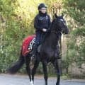 【２０日の注目・阪神７Ｒ】菊花賞へ負けられない戦い　５・２億円馬サガルマータに福永調教師は「力上位やしね」
