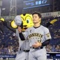 阪神・坂本　映画は「字幕派」　ドラマトークも全てが野球のため