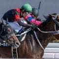 スレイプニルSは中波乱傾向の一戦 5歳馬の活躍に注目だ
