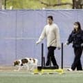 「おめでたか！」大谷翔平の父親産休をファン祝福　真美子夫人との間に第２子誕生へ「休みたがらない大谷さんもこの時ばかりはね」「奥さまとお子さまの無事を」