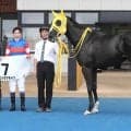 【函館２Ｒ・３歳未勝利】レジェンド止まらない！　武豊騎手が函館参戦初日いきなり勝利「番手で競馬ができました」