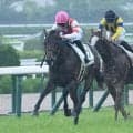 【阪神5R新馬戦結果】サートゥルナーリア産駒リュウトウコヤクが押し切り勝ち