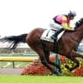 【東京５Ｒ・２歳新馬】荻野極騎手「新馬戦としては上々」　レッチュベルクが大物感あふれる勝利　新潟２歳Ｓを視野に