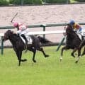 【阪神５Ｒ・２歳新馬】７番人気リュウトウコヤクが快勝　鈴木孝調教師「ゲートが速かったですから」