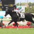 【函館５Ｒ・２歳新馬】イモージェン快勝　新種牡馬サリオス産駒が初勝利　ブリンカー進言の北村友一騎手「余力あった」