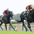 【東京９Ｒ・町田特別】クロワデュノールの全弟が菊花賞につながる３勝目　戸崎圭太騎手「いい馬ですね」