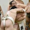 パリ公演で総合Ｖの大関・琴桜、帰国の翌日から即始動　滞在中したフランスはエムバペ２発でＷ杯好発進「点を入れて盛り上がっていた」