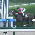 【天保山S結果】ベルジュロネットが人気に応え3馬身半差V