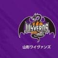 山形が湘南の伊集貴也を獲得…「コートの上でも、コートの外でもチームに必要とされる存在になりたい」