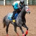 【しらさぎＳ・土曜気配】ミニトランザットはＣＷコースで活気十分　希望通りの７枠もゲット　杉山佳調教師「万全でいけるかな」