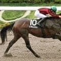 【スレイプニルＳ】９番人気リアレストがオープン１０度目の挑戦で初勝利　荻野極騎手「瞬発力があるのは分かっていた」