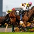【府中牝馬S予想】前走の馬体重が明暗を分ける!? 臨戦過程にも不安を感じる軽視したい人気馬