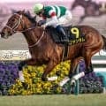 【しらさぎS予想】サマーマイルシリーズ開幕戦は関西馬が中心!? 関東馬は前走の着順やレース格に注意