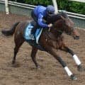 【しらさぎＳ・土曜気配】昨年覇者キープカルムは馬場状態がポイント　中竹調教師「どこまで回復してくれるか…」