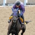 【府中牝馬Ｓ】１番人気はヴァルキリーバースで３・０倍　コガネノソラが６・１倍で続く　オッズ速報