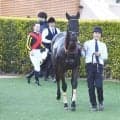 【府中牝馬S前日オッズ】ヴァルキリーバースが3.0倍で1番人気
