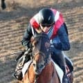 【しらさぎＳ】エコロアルバが単勝３・０倍で１番人気　重馬場での朝日杯ＦＳ４着馬が３連単でも３３番人気タイまで登場