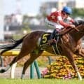 【AI予想・府中牝馬S】強敵相手に善戦した前走が価値ある走り！ 今の馬場にもマッチしそうな人工知能の本命馬
