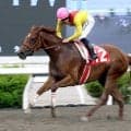 【高知・御畳瀬特別】不良馬場の決戦でサノノエスポが連勝決めた　３連単は１３万円超　単勝１・８倍のミトノオーは１０着