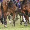 野中賢二調教師がJRA通算400勝