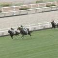 「走る姿めっちゃ綺麗」芝のレースで“ひと際目立つ”白毛馬がデビュー…出遅れ＆6着もネット人気は絶大「白すぎ可愛い」