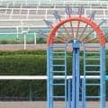 【新馬/函館5R】サリオス産駒がJRA初勝利！…イモージェンが鮮やかデビューV