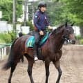 【２１日の注目・東京５Ｒ】セレクト１・６億円馬など良血馬ズラリ　Ｇ１＆重賞ウィナーの弟、産駒がデビュー勝ちを争う