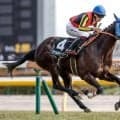 【今日の注目ポイント】府中牝馬SとしらさぎSの2重賞