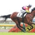 【東京５Ｒ・２歳新馬】上がり最速３３秒７レッチュベルク３馬身差の快勝　大物出現の予感