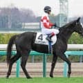 【２１日の注目・東京６Ｒ】４億円馬ダノンアスコルティが初勝利目指す　ルメール騎手と“４度目の正直”なるか