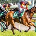 牝馬限定のハンデ重賞府中牝馬S 逃げ馬に要注意
