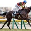 【府中牝馬S予想】サマー2000シリーズも見据える一戦 馬場状態も焦点に