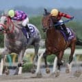 【水沢・みちのく大賞典】昨年覇者リケアカプチーノが連覇へ…門別三冠馬ラッキードリームも参戦