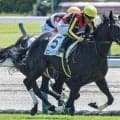 半姉は三冠牝馬のリバティアイランド コニーアイランドが2勝目なるか