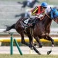 【府中牝馬S予想】4歳勢中心で今年もいける？ 過去データから探るGIII府中牝馬S
