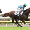 【東京４Ｒ・２歳新馬】サリオス産駒２日連続勝利　デビューＶタクティシアンの森一師は助手時代に父に携わる