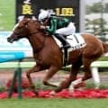 【函館５Ｒ・２歳新馬】フェリチタが逃げ切りＶ　タワーオブロンドン産駒が上位独占　順調なら函館２歳Ｓへ