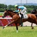 【阪神５Ｒ・２歳新馬】北村友一騎手騎乗のトップチェッカーが快勝　武英調教師「今の状態でこれだけ強い勝ち方」