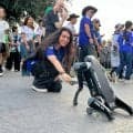 犬型ロボットが乱闘など警戒中　チュニジア戦のスタジアム周辺で