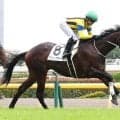 【東京５Ｒ・２歳新馬】７番人気アヴィアトーレが鮮やか逃走Ｖ　ゴンサルベス騎手「もっと距離を延ばしても」