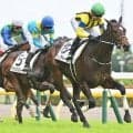 【東京5R新馬戦結果】7番人気アヴィアトーレが逃げ切り勝ち シスキン産駒