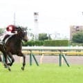 【東京６Ｒ】“４億円馬”ダノンアスコルティが４戦目で待望の初勝利　ルメール騎手「キタサンブラックの子供だから…」