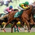 【しらさぎS・馬体重】エコロアルバは476kg(-4)、ファーヴェントは512kg(-2)