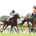 【ＷＩＮ５】的中３票！！　払戻金は１億７０９４万９７３０円　対象１レース目の姫路Ｓでいきなり１３番人気がＶ