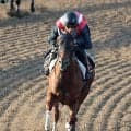 【しらさぎＳ】メンバー唯一の３歳馬エコロアルバは後方追走から３着　初対戦となった古馬相手に奮闘も…