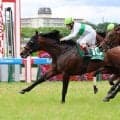【しらさぎＳ】エルトンバローズが２年８か月ぶりの重賞３勝目　初勝利をマークした仁川のマイル戦で復活